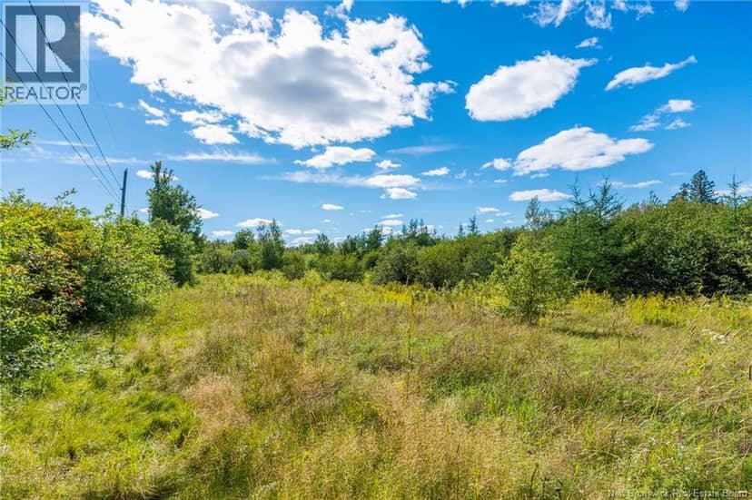 Lot 84-2 New Scotland Road — photo 6 of 28