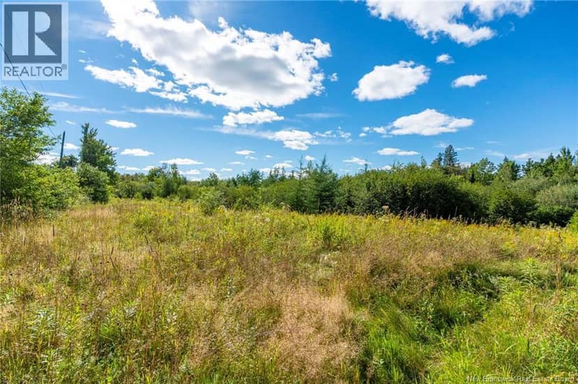 Lot 84-2 New Scotland Road — photo 7 of 28