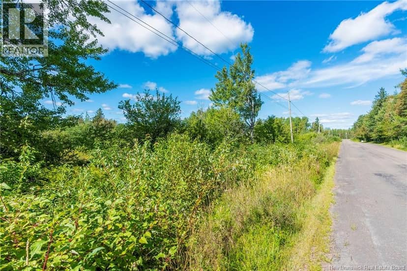 Lot 84-2 New Scotland Road — photo 3 of 28