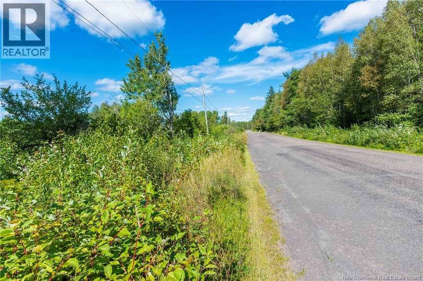 Lot 84-2 New Scotland Road — photo 2 of 28