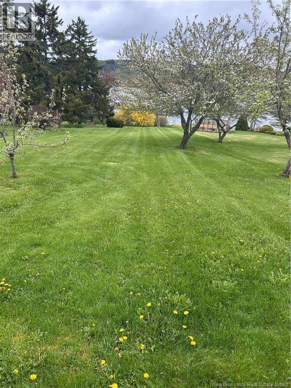 85 Brandy Point Road, Grand Bay-Westfield, photo 2