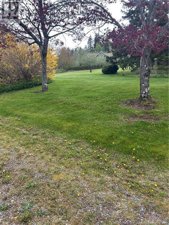 85 Brandy Point Road, Grand Bay-Westfield, photo 5