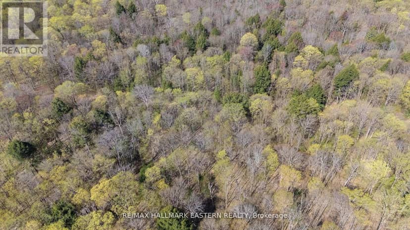 2494 Hadlington Road, Highlands East, photo 6