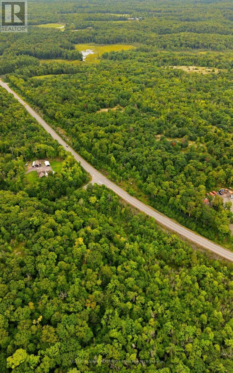 Lot 17 Muskoka Rd 169 — photo 18 of 28