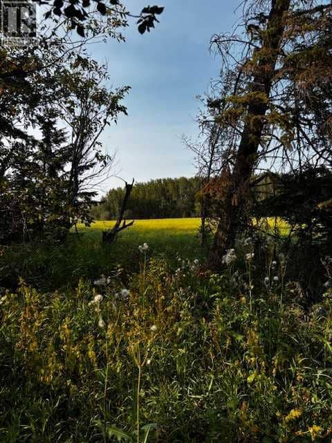 460021 Rge Rd 241, Rural Wetaskiwin No. 10, County of, photo 8