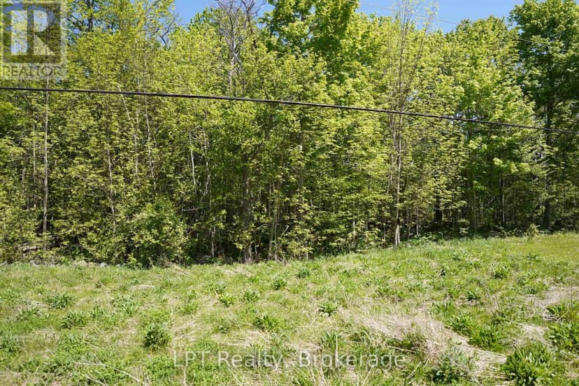Lot 16 Grey Road 17 — photo 12 of 23