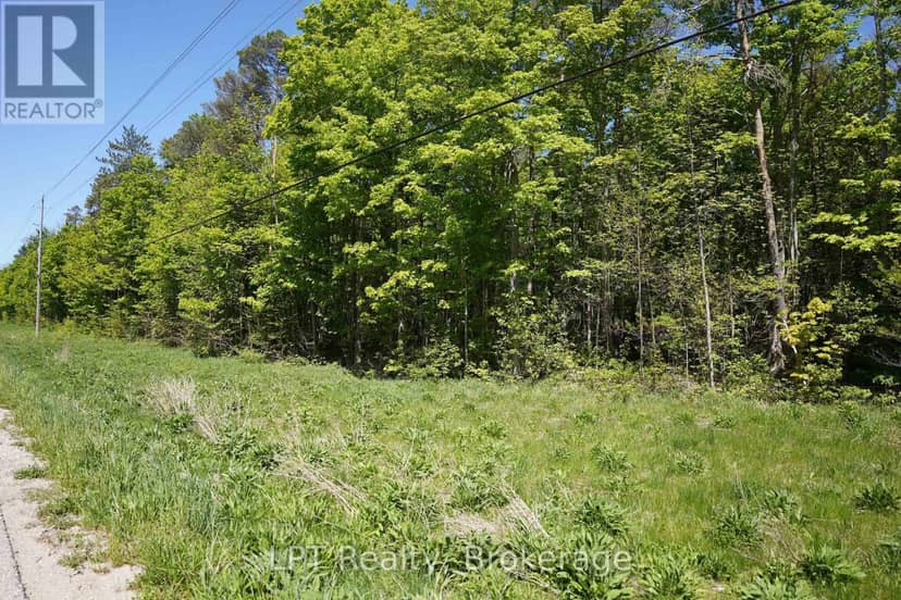 Lot 16 Grey Road 17 — photo 13 of 23