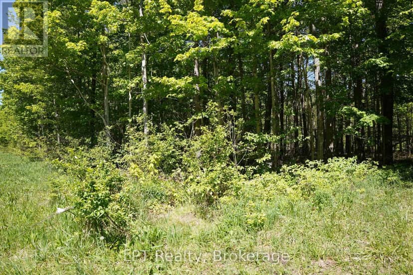 Lot 16 Grey Road 17 — photo 17 of 23