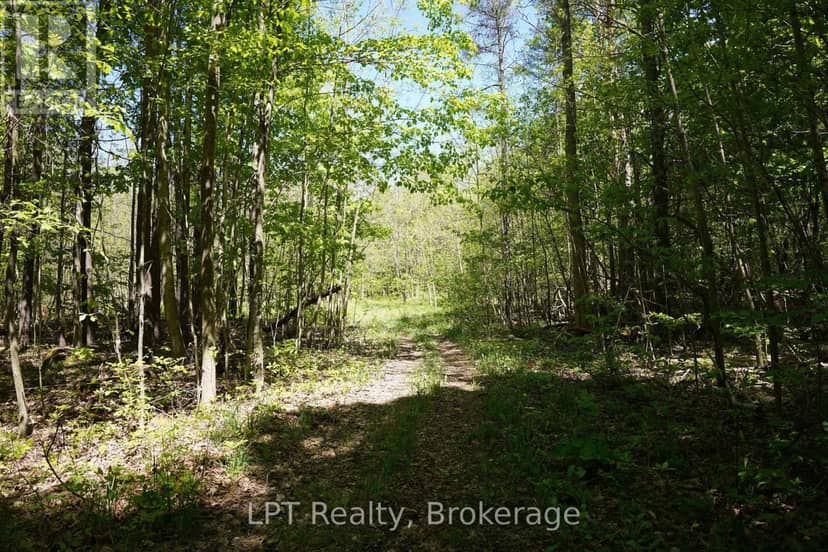 Lot 16 Grey Road 17 — photo 18 of 23