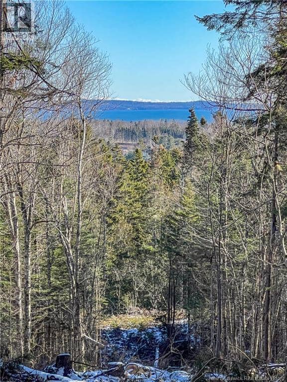 Land Chamcook Lake No 1, Chamcook, photo 2