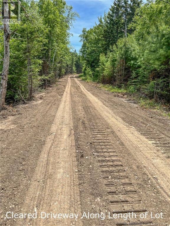 Land Chamcook Lake No 1 — photo 12 of 12