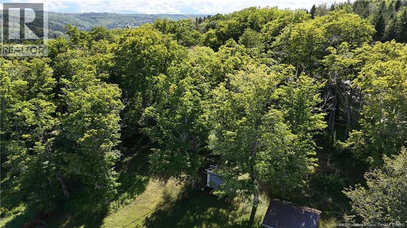 Sugar Camp Hillside — photo 14 of 17