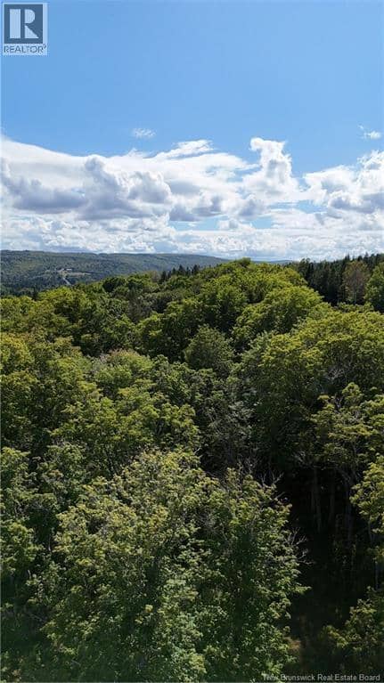 Sugar Camp Hillside — photo 10 of 17