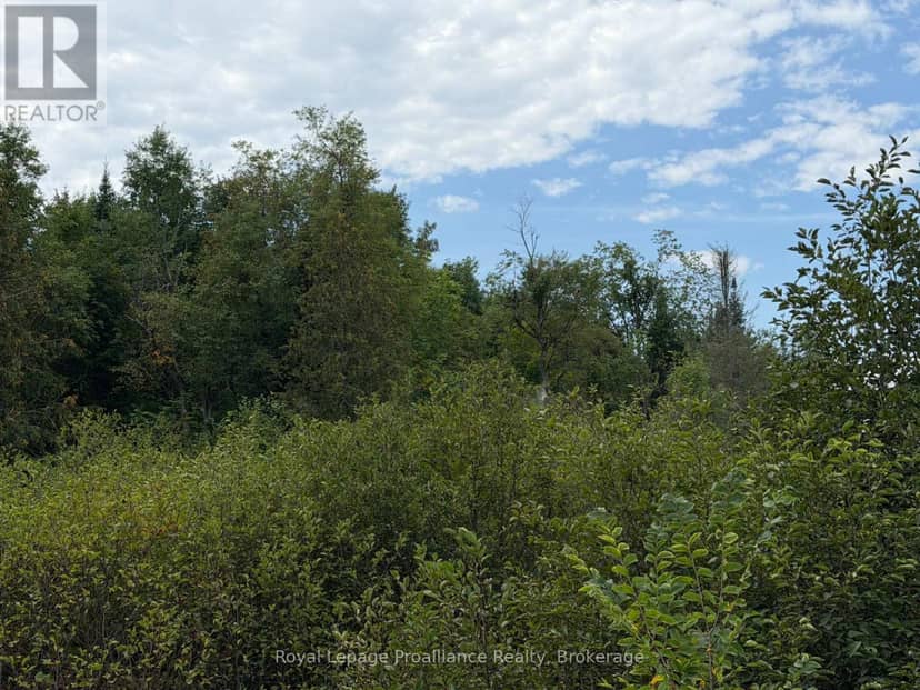 0 Twin Sisters Lake Road, Marmora and Lake, photo 6