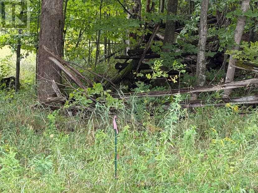 0 Twin Sisters Lake Road — photo 14 of 19
