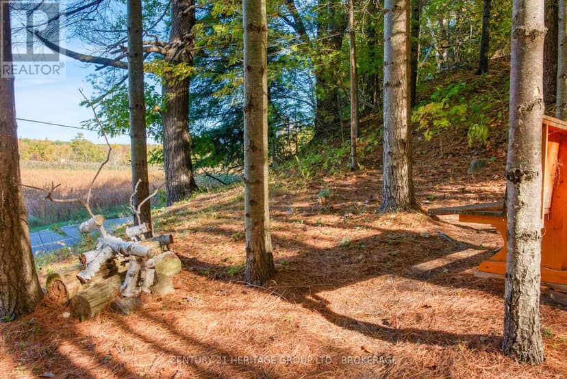 10874 Canoe Lake Road — photo 13 of 40