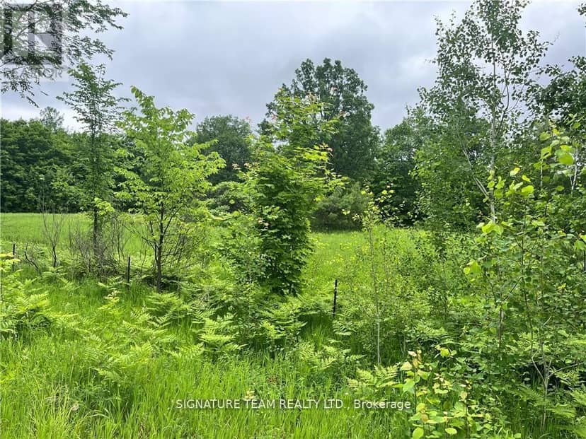 0 Grant Settlement Road — photo 4 of 10
