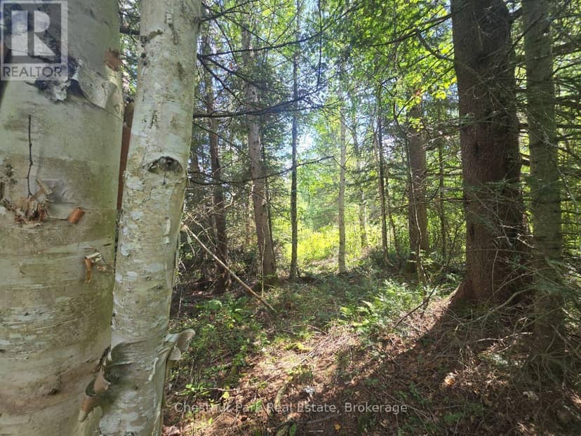 00 Gibbons Road — photo 11 of 40
