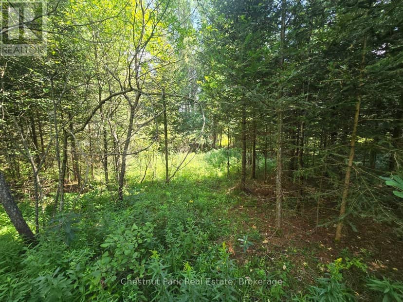 00 Gibbons Road — photo 17 of 40