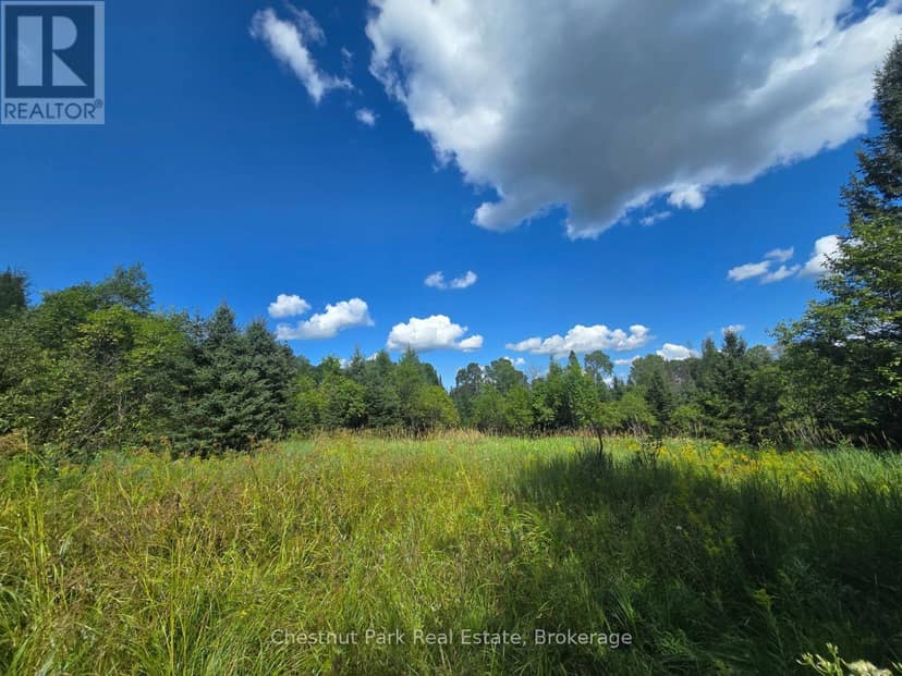 00 Gibbons Road, Strong, photo 8