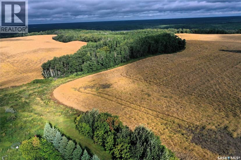 Grandfield Acreage, Nipawin Rm No. 487, photo 5