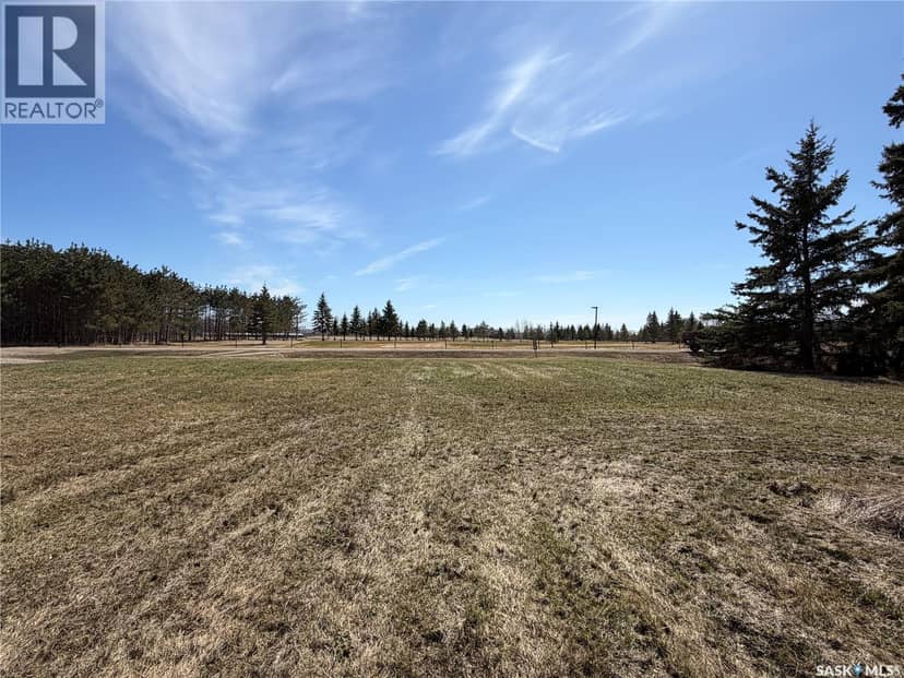 211 Laroucque DRIVE, Meadow Lake, photo 2