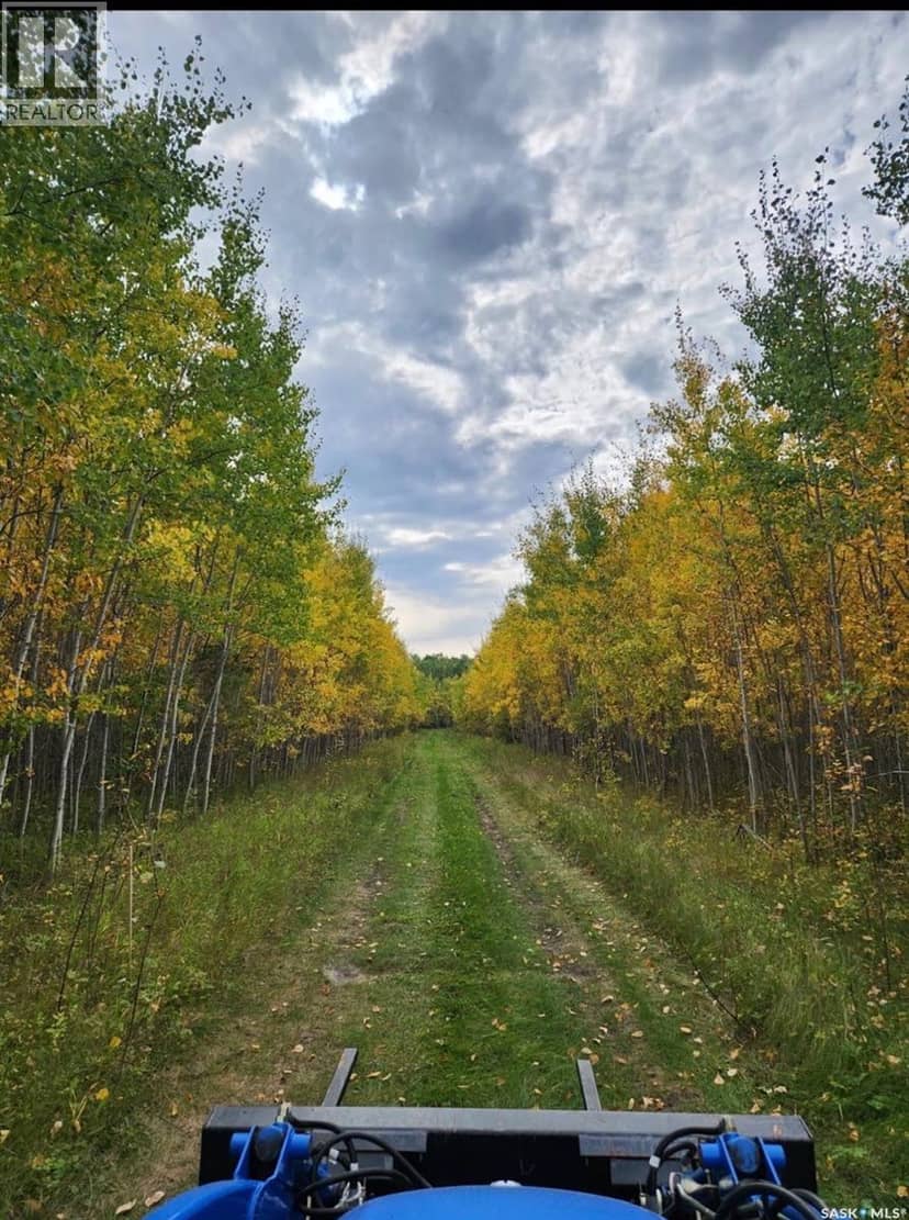 Lot 4 Poplar Grove Estates, Meadow Lake Rm No.588, photo 5