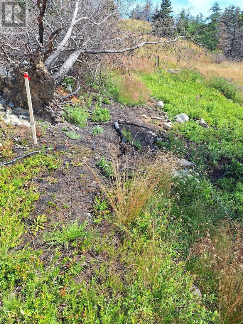 2 Old Cart Path — photo 8 of 9