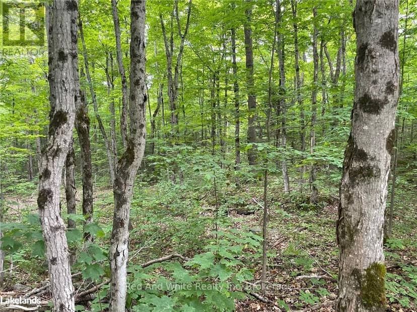 23 Ahmic Lake Road, Magnetawan, photo 2