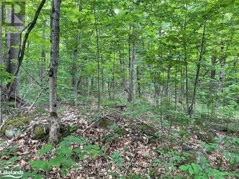 23 Ahmic Lake Road, Magnetawan, photo 3