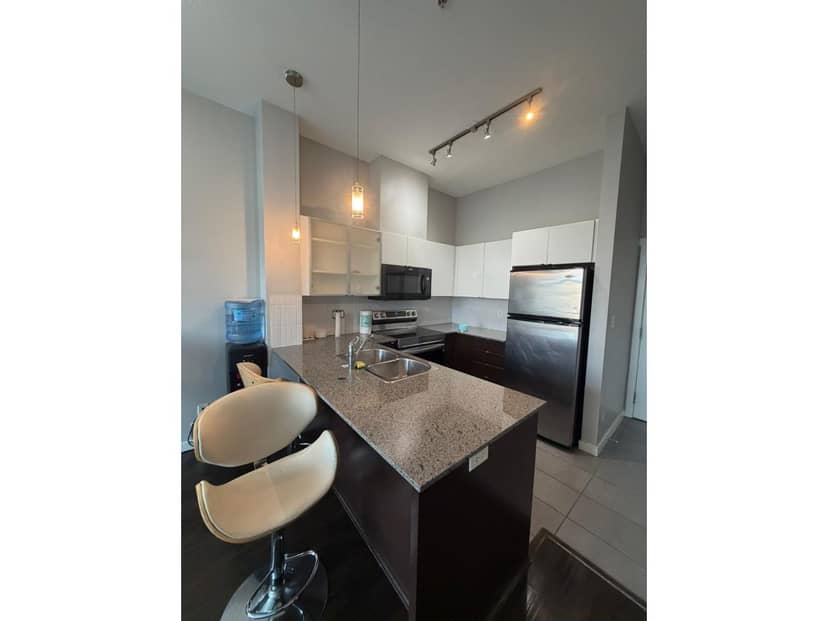 531 13733 107A AVENUE, Surrey, photo 2
