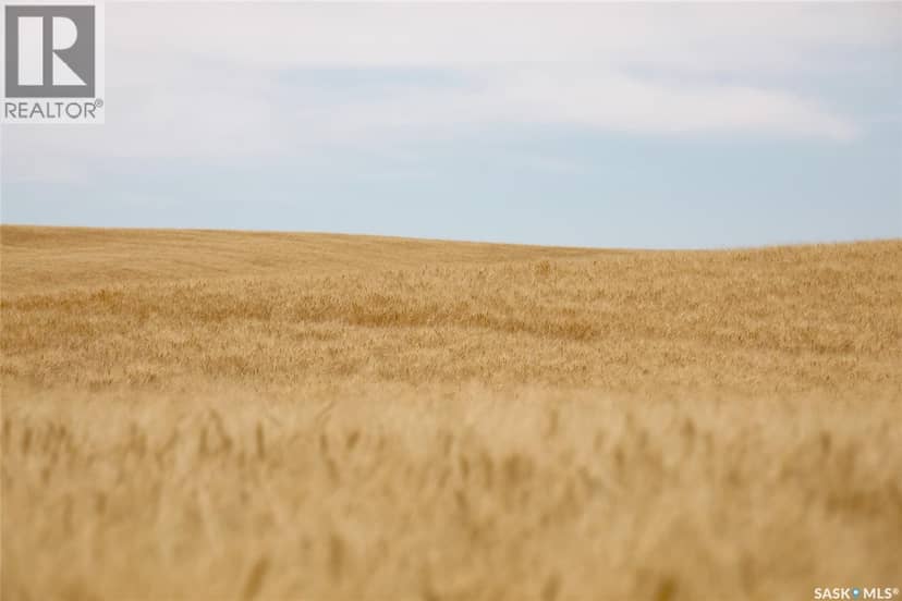 214.99 Acres Grainland Near Willow Bunch — photo 3 of 17