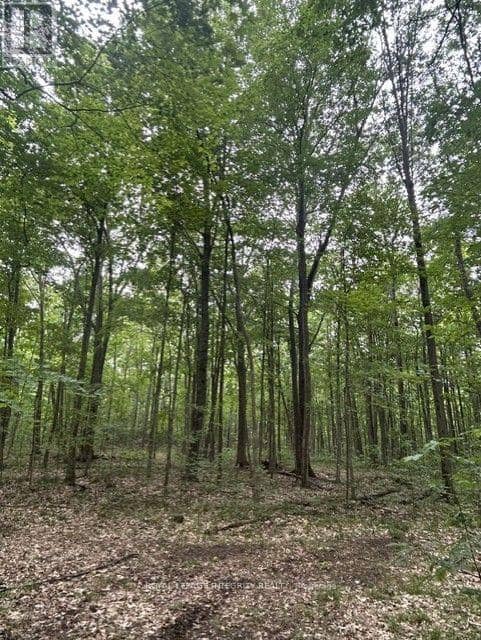 0 Armstrong Road — photo 18 of 27