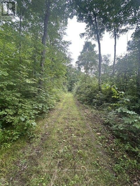 0 Armstrong Road — photo 19 of 27