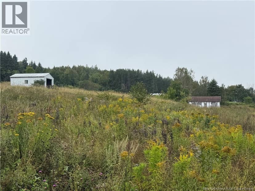 9 McAbbie-Bye Road — photo 13 of 21