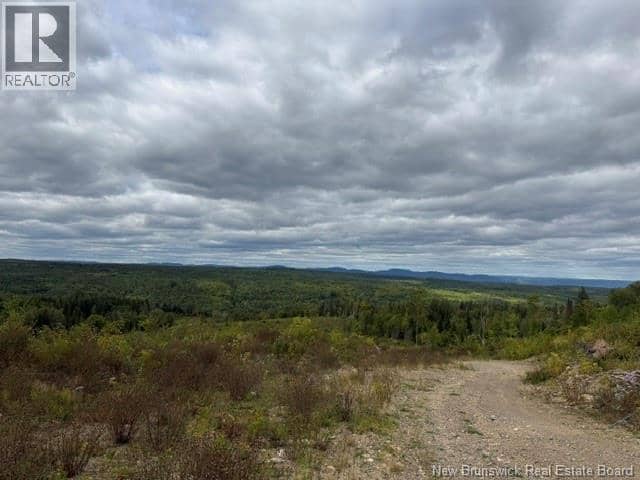 9 McAbbie-Bye Road — photo 16 of 21
