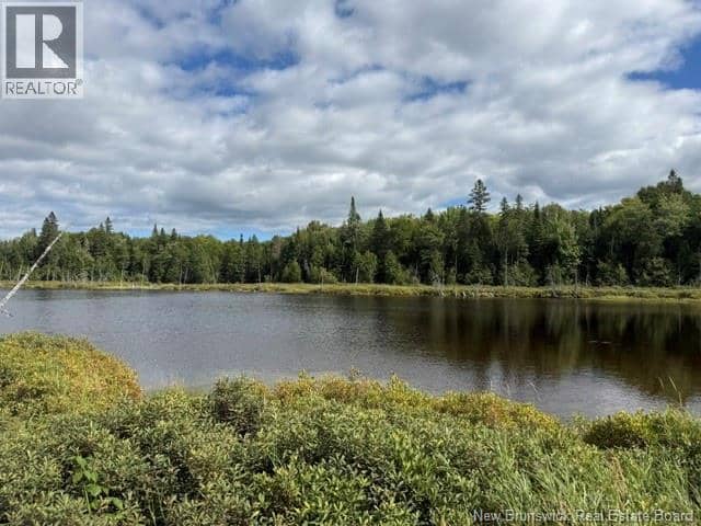 9 McAbbie-Bye Road — photo 9 of 21