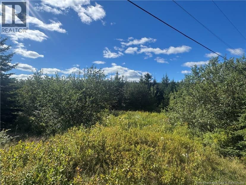 LOT Route 111, Hammondvale, photo 2