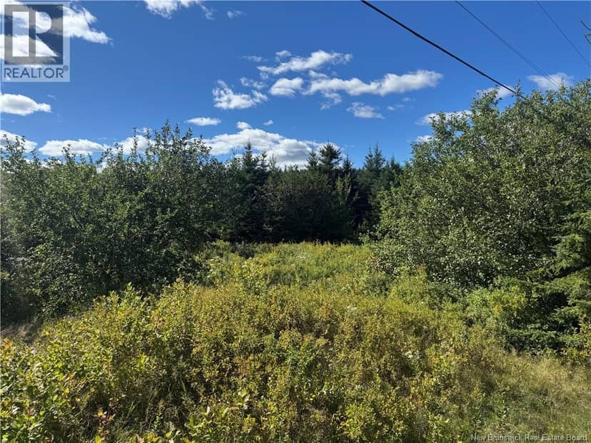 LOT Route 111, Hammondvale, photo 3