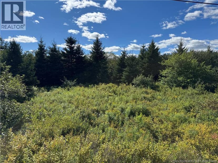 LOT Route 111, Hammondvale, photo 4