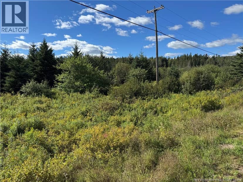 LOT Route 111, Hammondvale, photo 5