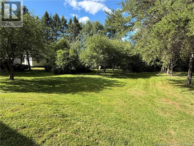 29 Beech Glen Road — photo 37 of 40