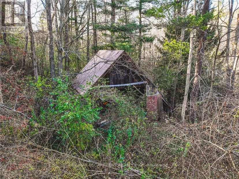 1296 Mineral Springs Road — photo 12 of 18