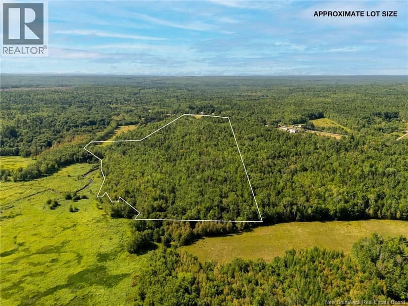 LOT Route 102 Route, Gagetown, photo 3