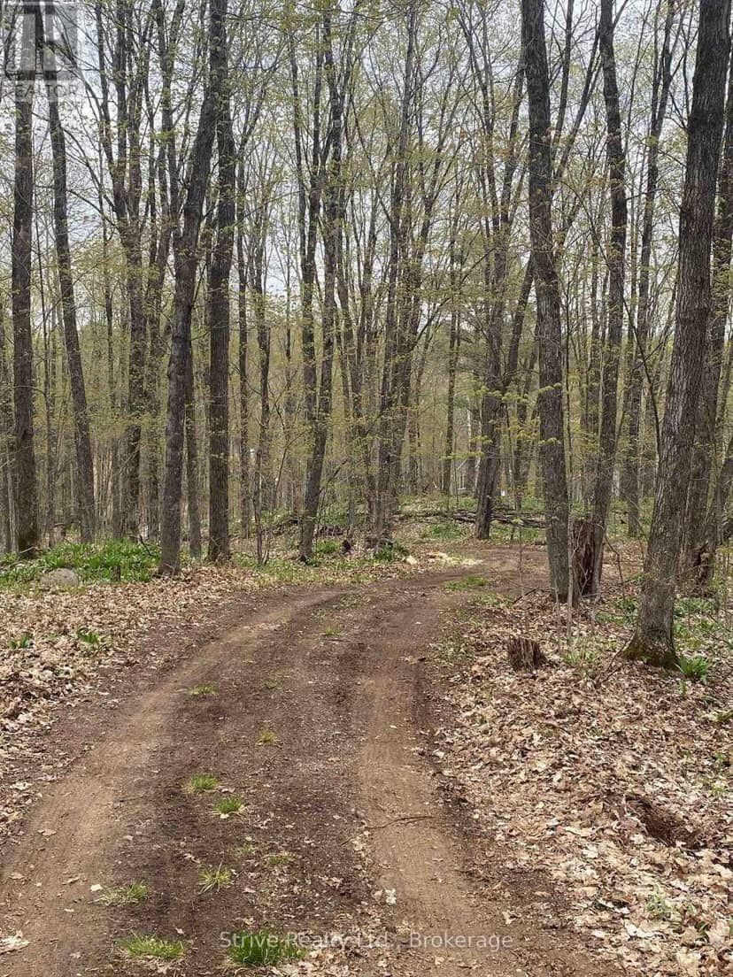 0 Kendrick Creek Lane, Minden Hills, photo 3