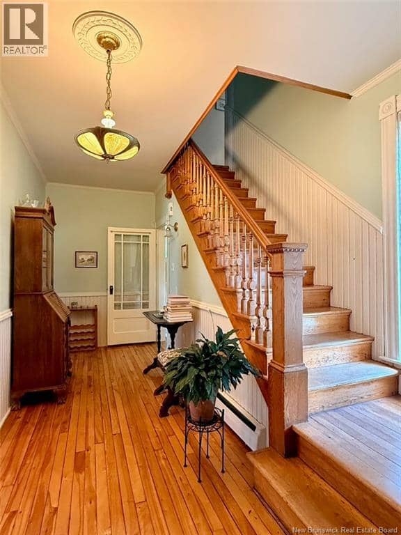 11 Dufferin Street — photo 10 of 24