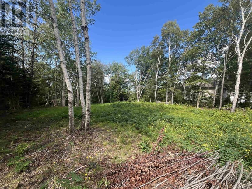 Lot 10 Palmer Drive — photo 9 of 9
