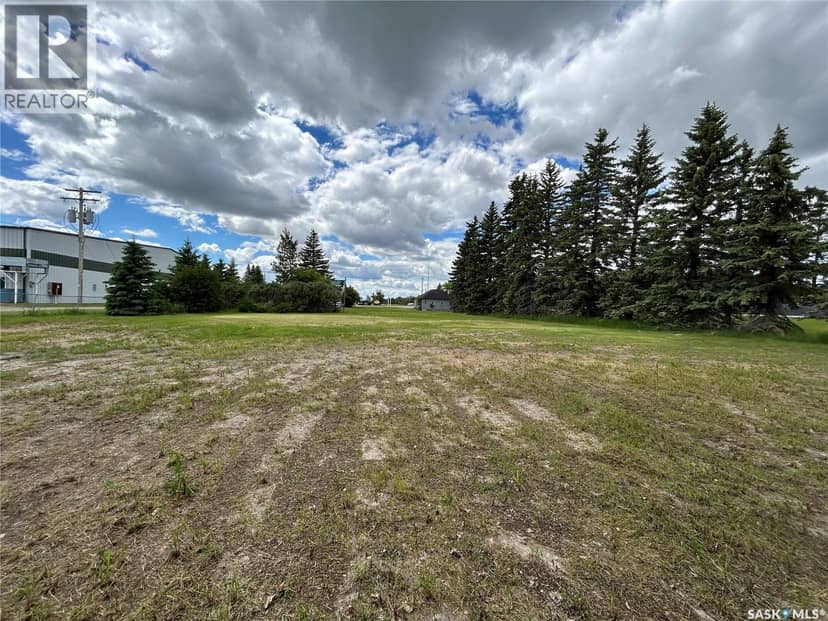 119 Main Street, Lanigan, photo 7