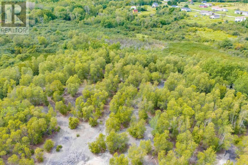 3113 Barronsfield Road, River Hebert, photo 6