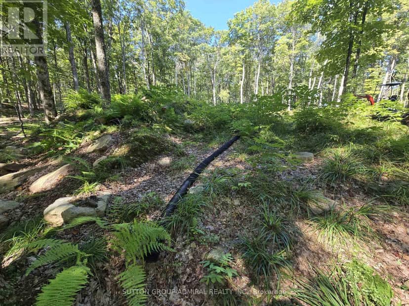 1135 Ross Lake Road — photo 34 of 39